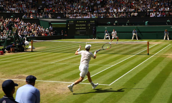 Tennis Wimbledon - Giải đấu quần vợt hàng đầu thế giới